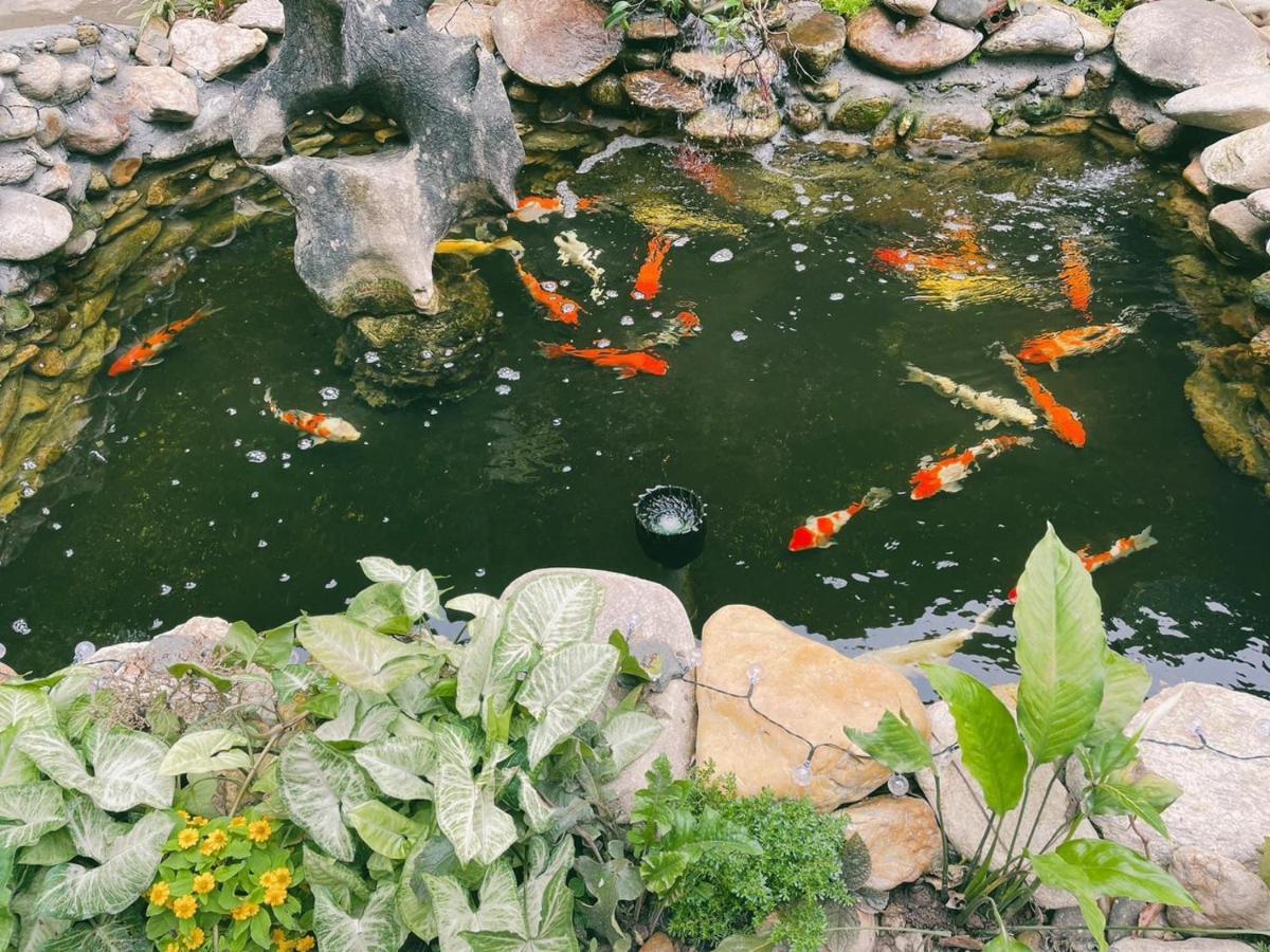 Pao'S Leisure Homestay ห่าซาง ภายนอก รูปภาพ